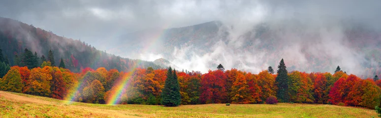 Selbstklebende Fototapete Herbst Nebliger Herbst Transkarpatien