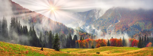 Fotobehang Herfst Mistige herfst Transkarpatië