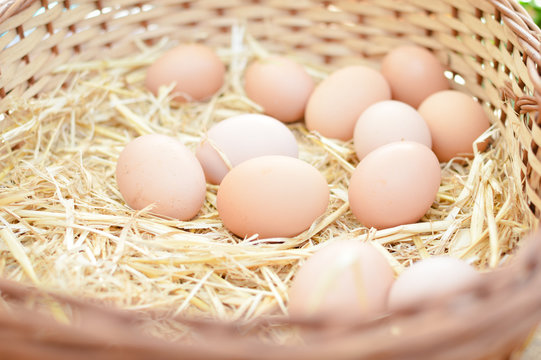 Photo closeup of basket with eggs on market