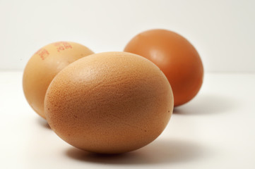 eggs