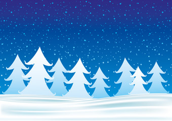 Winter night and snow-covered fir on the snow.