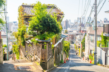 Naklejka premium old house at Fujimizaka slope,tokyo,japan