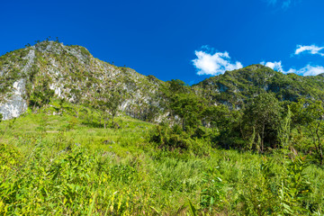 Fototapeta na wymiar Mountain landscape with green grass field