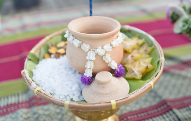 vegetablle and herb for healthy food