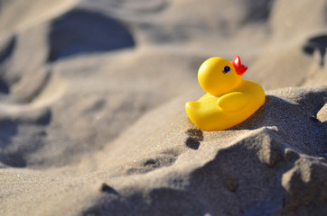 Fototapeta na wymiar Toy duck on the beach in the sand