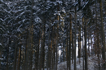 Winterlandschaft in den Alpen