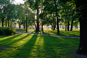 Play of sun rays in Admiralty Park in St. Petersburg