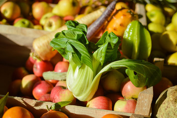 Cabbage Bok Choy among fruit and vegetables at farmers market