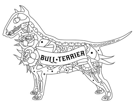 Outline Bull Terrier