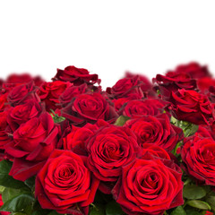 bouquet of dark  red roses  close up