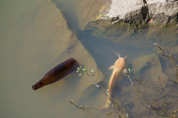 Do not throw garbage into the water