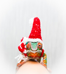 Chameleon  Santa Claus