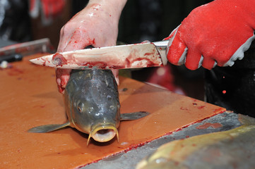 killing carp