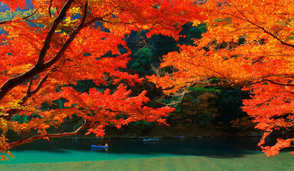 Obraz na płótnie Canvas Autumn Colours in Kyoto