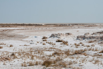 Etosha Salzpfanne; Namibia