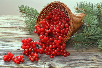 Cornucopia with viburnum on wooden background