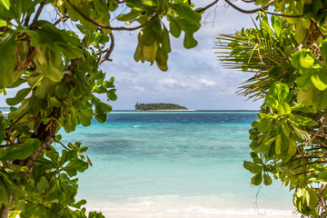 ein wundersch&ouml;ner Strand mit Pflanzen auf einer Malediveninsel