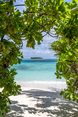 ein wundersch&ouml;ner Strand mit Pflanzen auf einer Malediveninsel