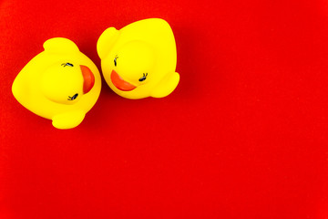 Pair of yellow rubber ducks isolated over colorful red background, love concept
