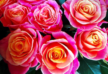 Full frame pink with yellow roses bouquet.  Flowers for Mother's day, Valentines Day, romantic garden or dinner!