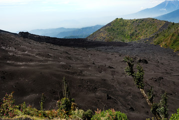Lara flow on Pacaya Volcano of Guatemala