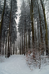 Wanderung im Schnee