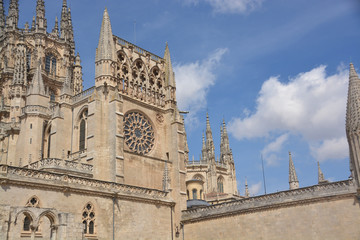 Fototapeta na wymiar catedral gótica en la ciudad de Burgos