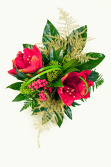 Bouquet composition with red amaryllis on white background