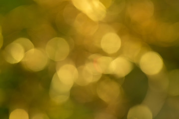 Naturlichter bokeh
