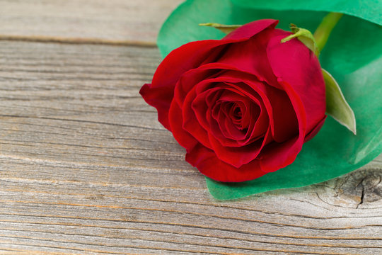 Happy Valentines day with single freshly cut red rose on wood