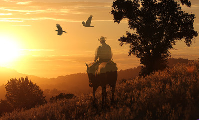 A cowboy riding into the golden sunset on a orange meadow with birds flying above.