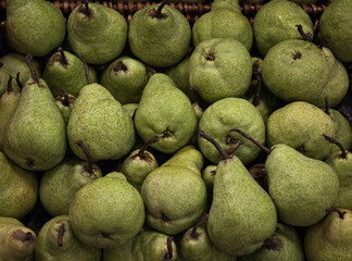 Green Pears In A Basket.
