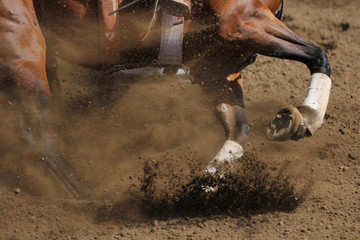 Obraz premium Zdjęcie akcji konia ślizgającego się i kopiącego brud w widoku poziomym z bliska.