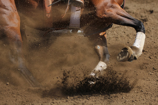 Fototapeta An action photo of a horse sliding and kicking up dirt in a horizontal close up view.