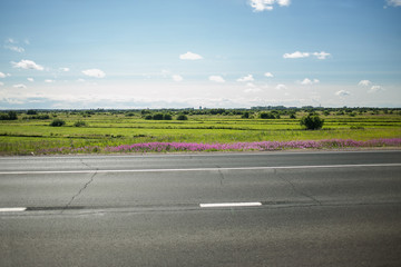 green meadow with trees and asphalt road, blue sky on background
