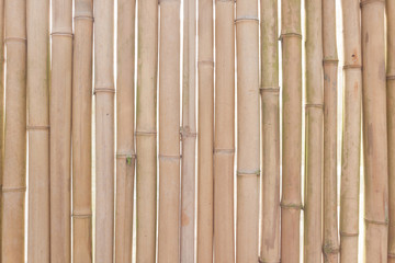 bamboo texture and background