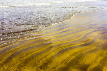 Abstract Sand Background