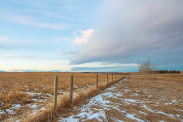 Praire Fence Landscape in Winter