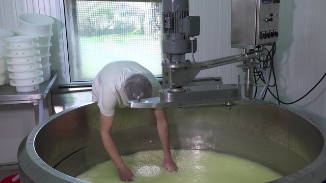 Gouda cheese making from raw milk