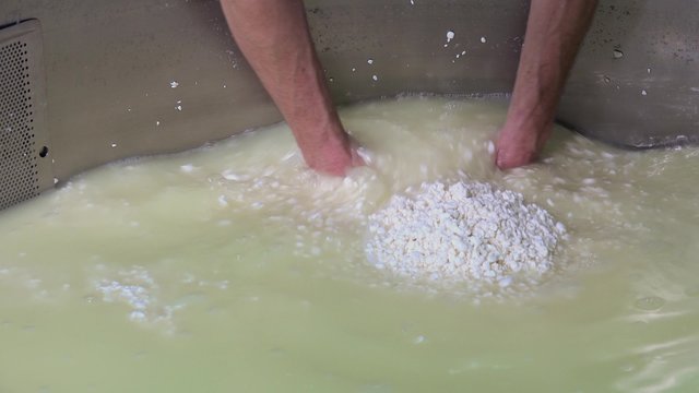 Gouda cheese making from raw milk