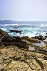Fototapeta na wymiar Rocky Coastline of Pacific Ocean where Waves Hit Shore