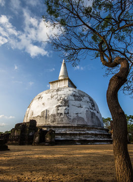 White Stupa Dagoba Kiri, Alahana Pirivena Group, Archaeological Park, Polonnaruwa, Sri Lanka