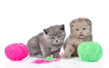 Fototapeta na wymiar two kittens playing with a ball. isolated on white background