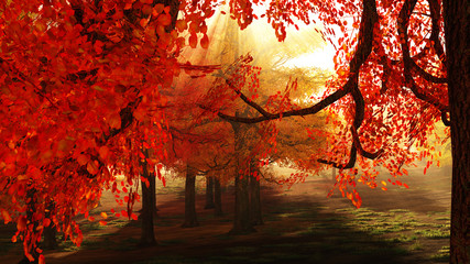 Obrazy  jesienny krajobraz leśny ilustracja 3d