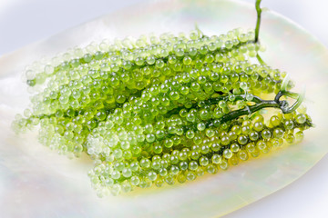 Seaweed , Healthy sea food in the dish made from mother of pearl