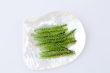 Sea grape seaweed in the dish made from mother of pearl, Healthy sea food.