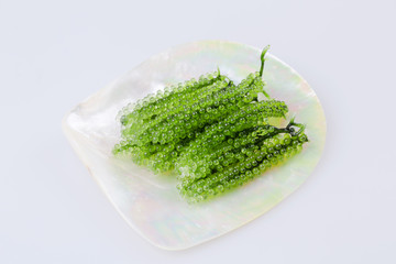 Seaweed , Healthy sea food in the dish made from mother of pearl