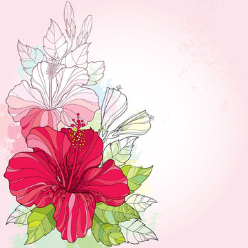 13 BEST Bungaraya IMAGES, STOCK PHOTOS u0026 VECTORS  Adobe Stock