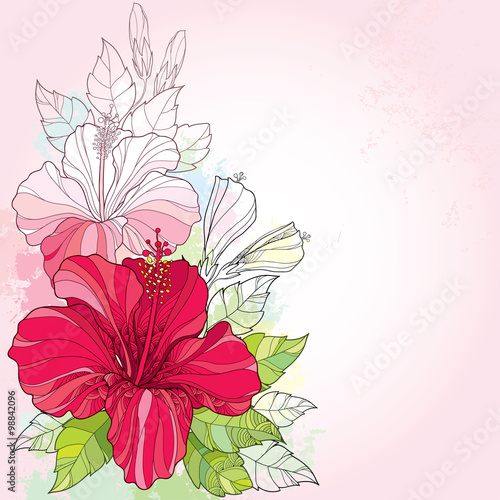 Unduh 6800 Background Bunga Raya Terbaik