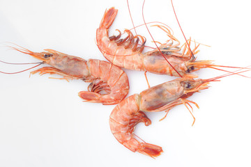 raw prawns isolated in white